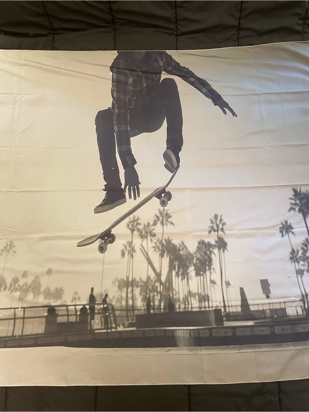 Skateboarder Silhouette Wall Tapestry in Black and White N30